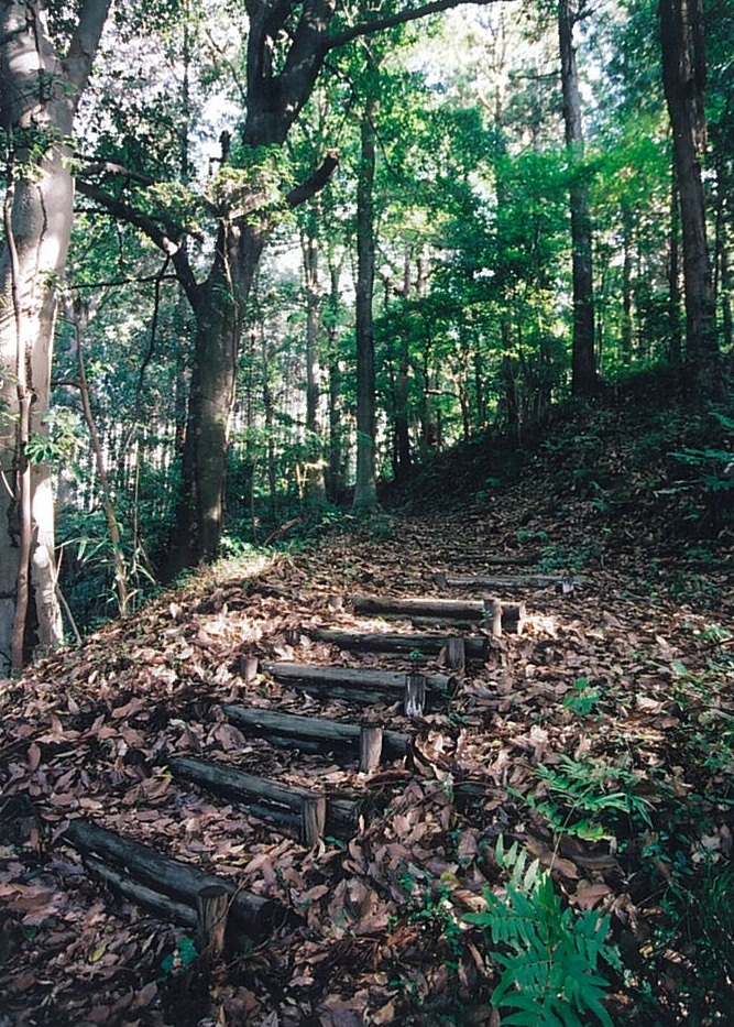 木材で造られた階段を上がると緑の木々の森がある時崎城跡の写真