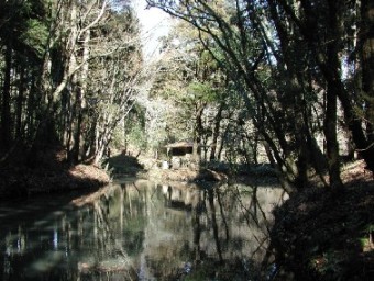 木陰になった勝間田の池の水面に樹木が写り中程に祠が祀られている写真