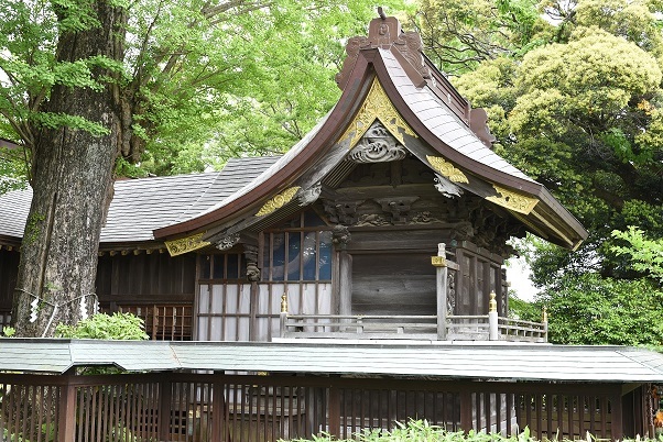 緑の木々の中に建つ鏑木麻賀多神社本殿を正面から写した写真