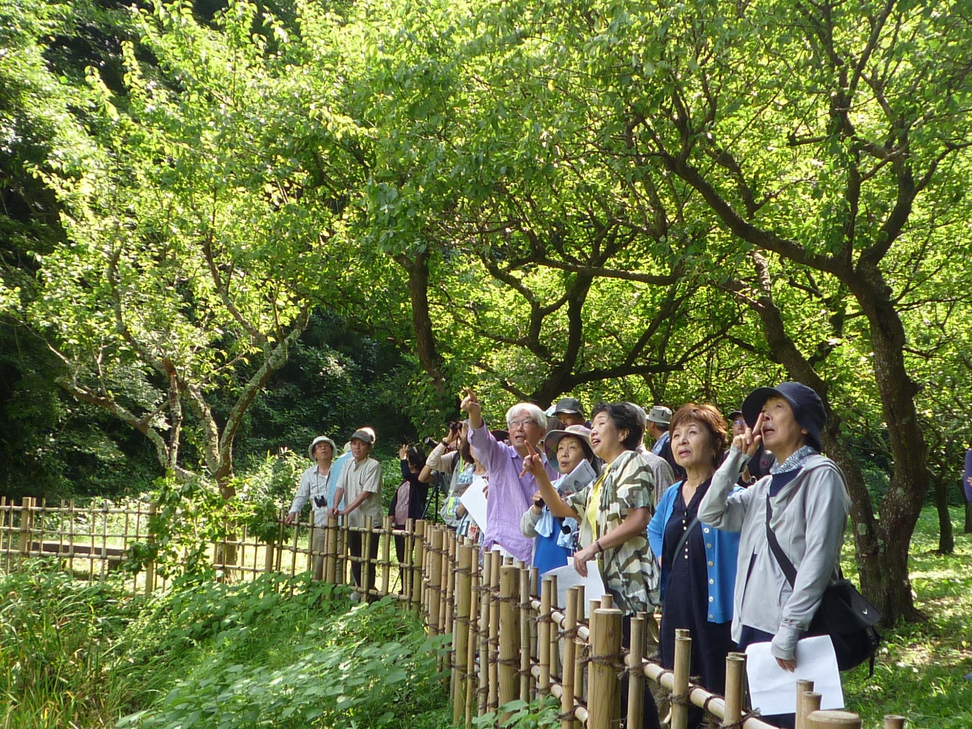 木々に囲まれた柵の前に参加者の皆さんが集まり、空を見上げている市内散策の様子の写真