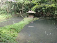池を2つに割るように道が続いており、中央に厳島神社が祀られている勝間田の池の写真