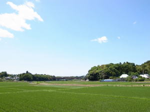 青空の下に自然が広がる佐倉市和田地区の写真