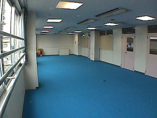 床には青い絨毯が敷き詰めてあり、大きな窓があり明るいプレイルームの写真