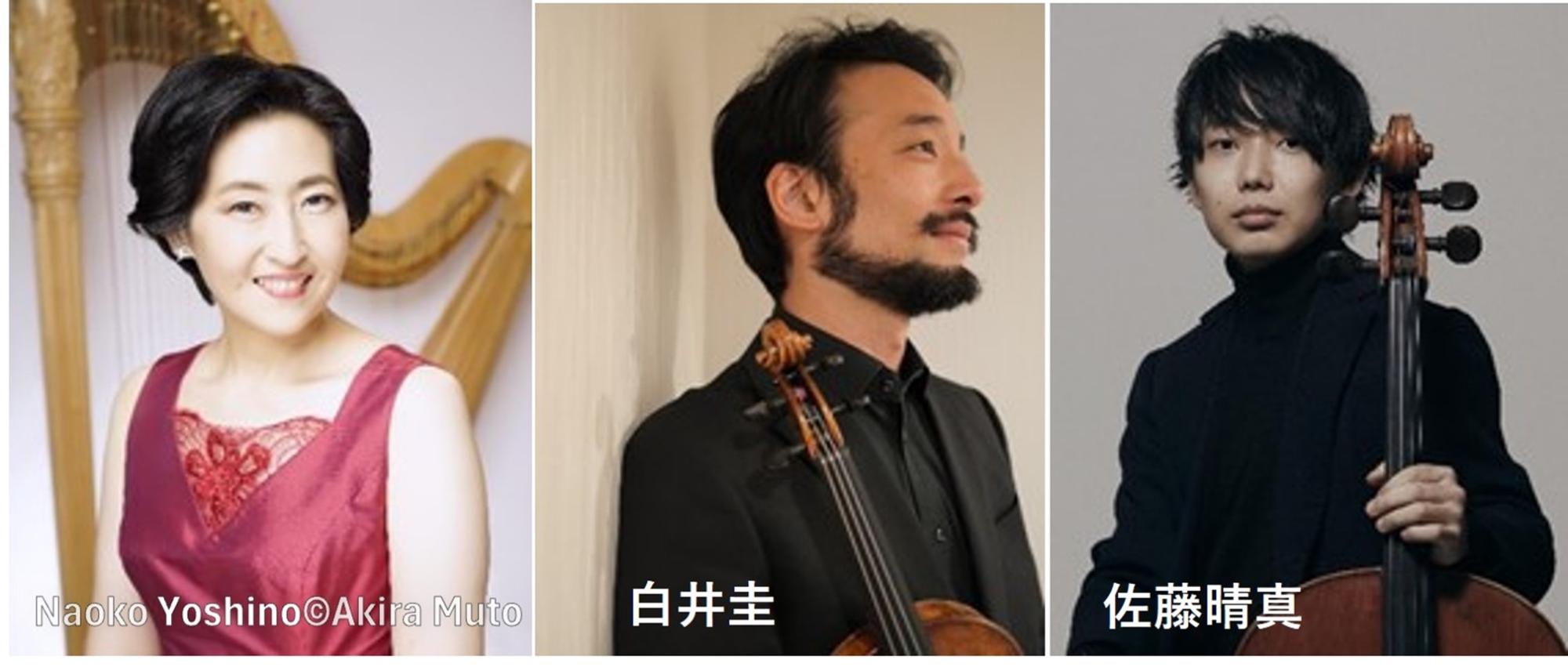 吉野直子＆白井圭＆佐藤晴真