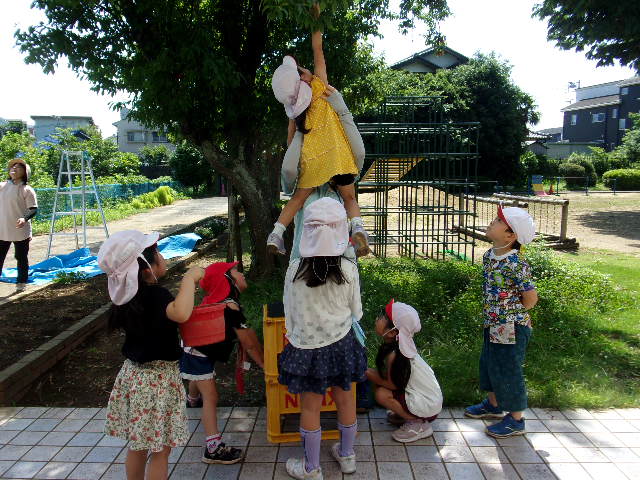 すもも
