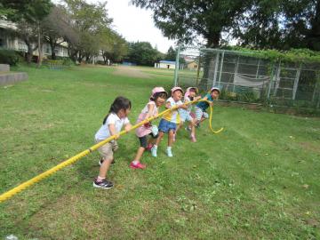 縦に並んだ園児たちが、黄色い綱を持って綱引きをしている写真