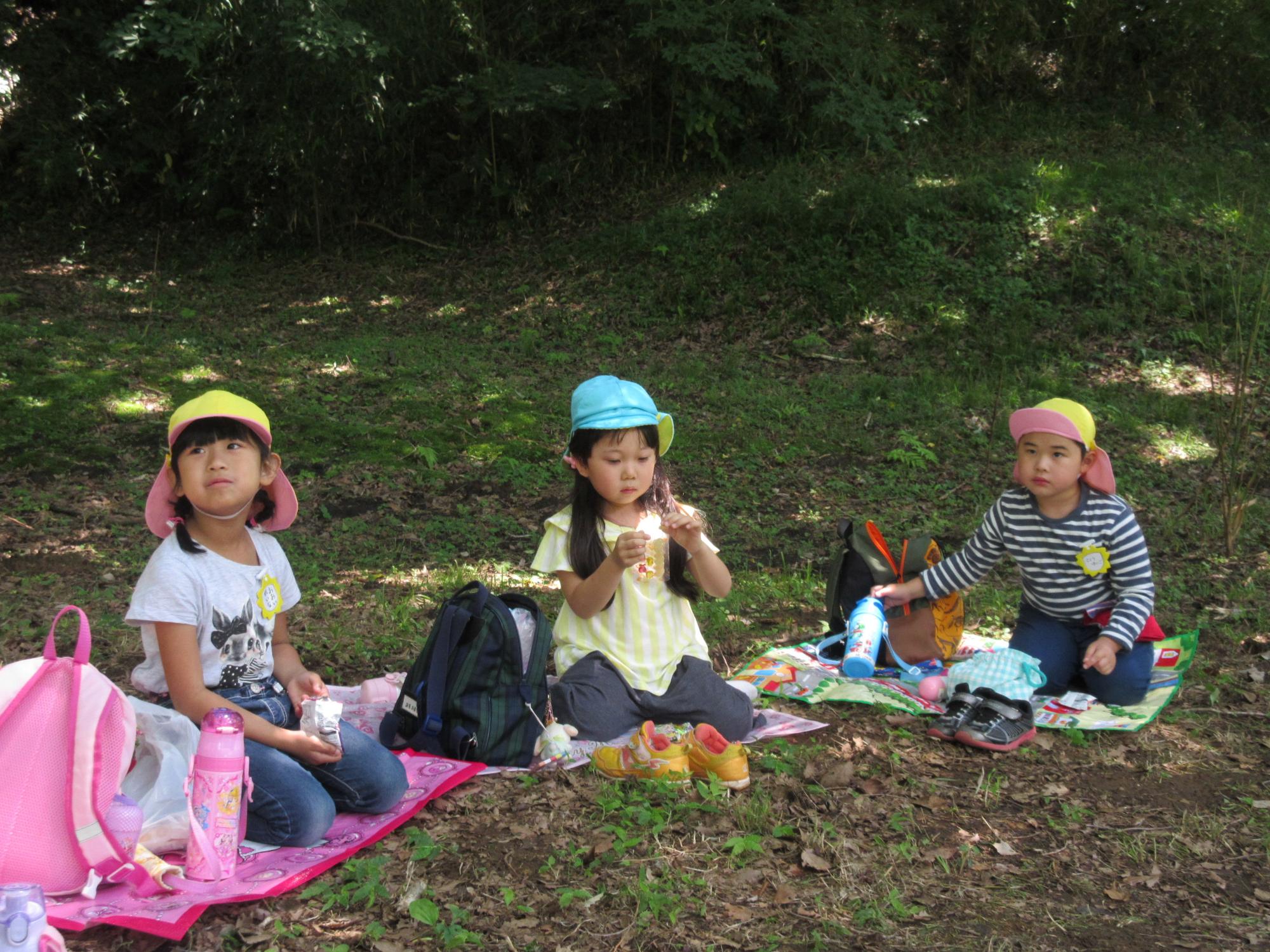 園児たちが木陰にシートを敷き、お弁当を食べている写真