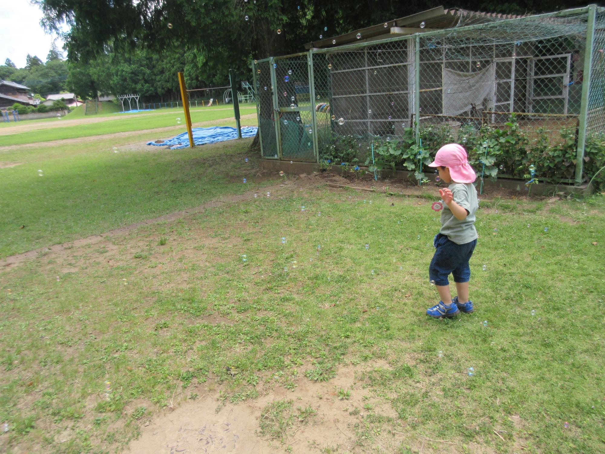 園児が芝生の上でシャボン玉を追いかけている写真