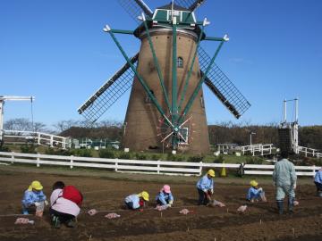 風車の前にある畑で園児たち、小学生たちが作業をしている写真