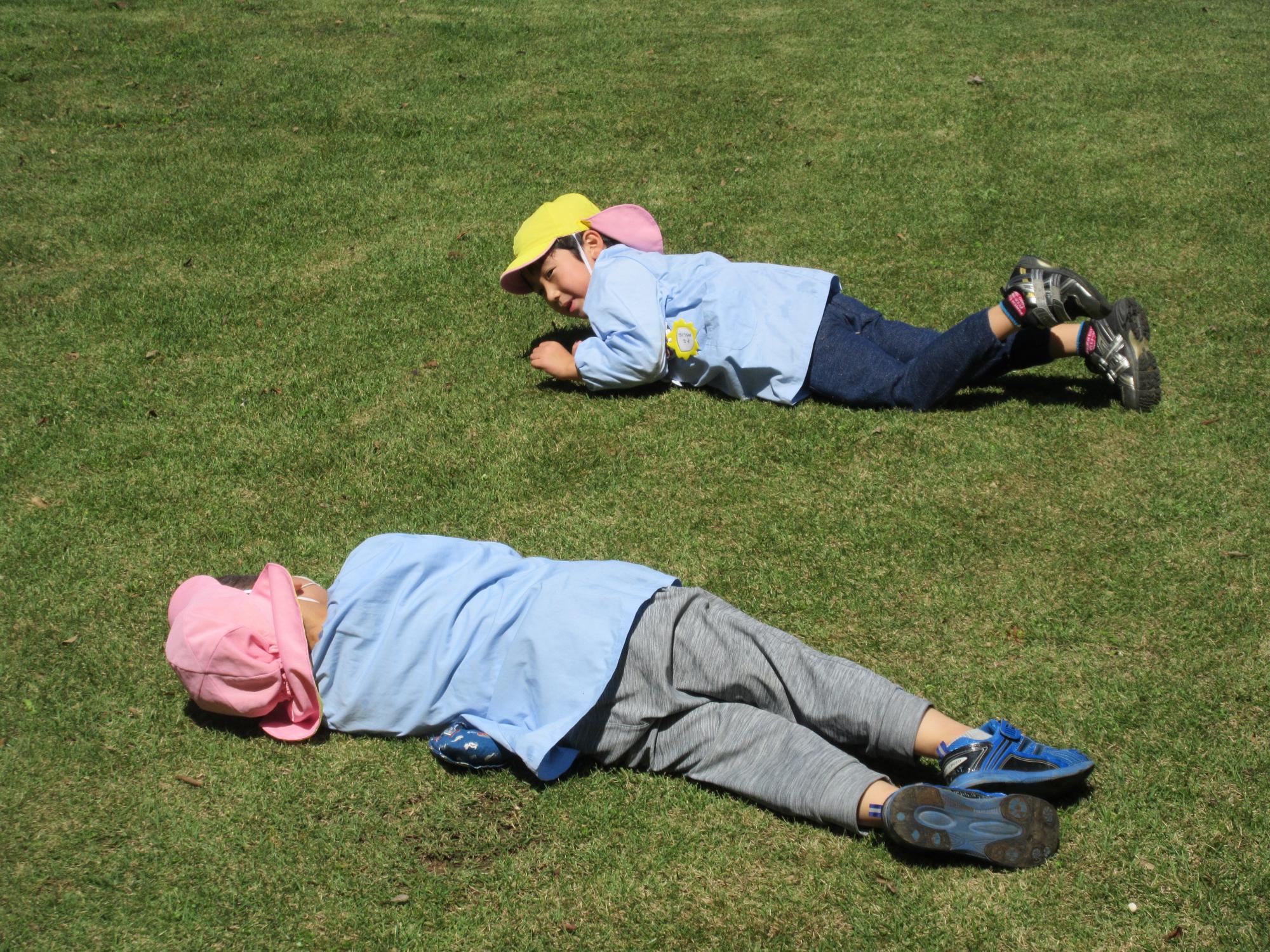 芝生の上に園児二人が寝転がり、ゴロゴロ転がっている写真