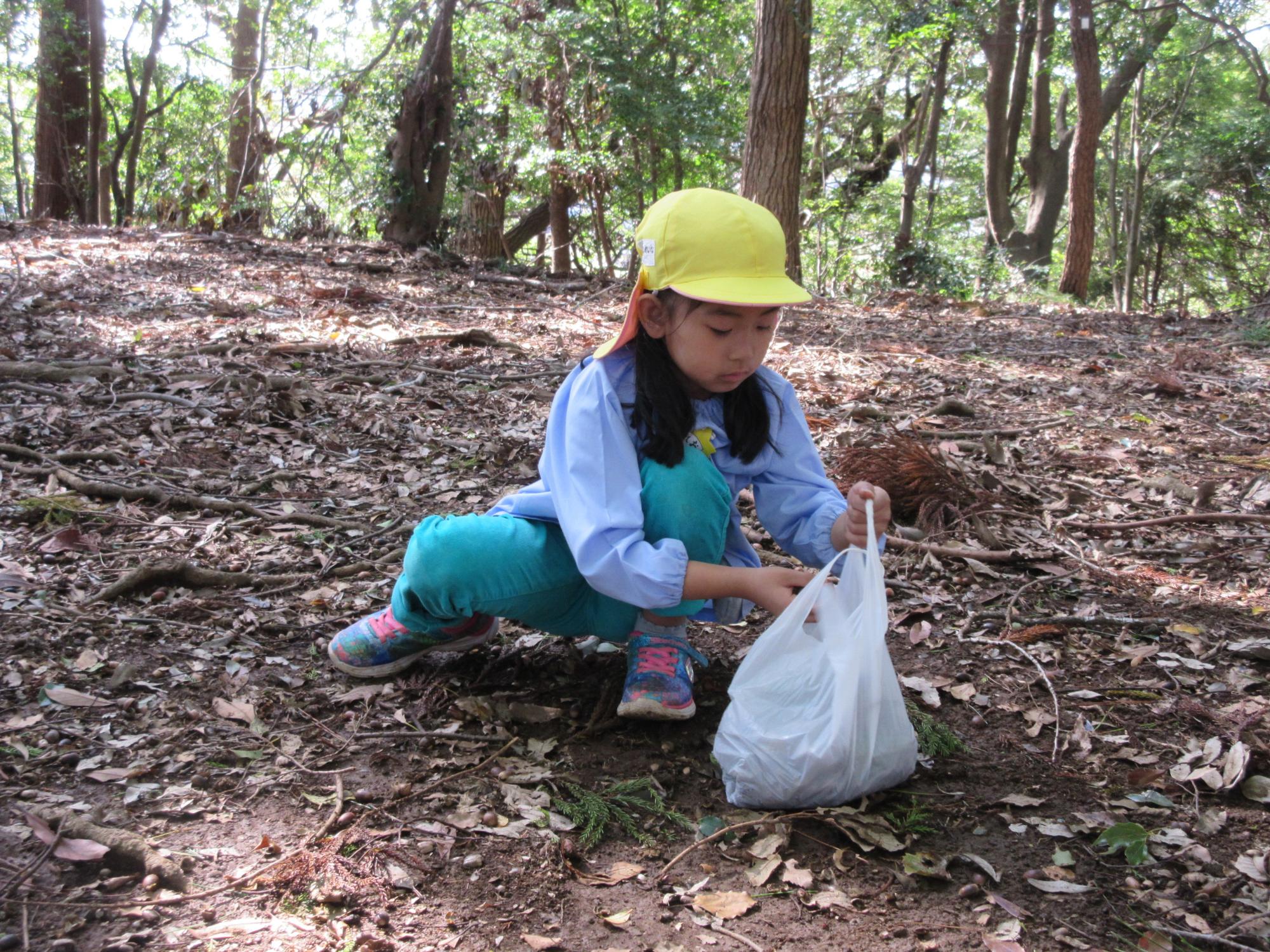 一人の園児が落ち葉の上で、手に持った白いビニール袋に拾ったものを入れている写真