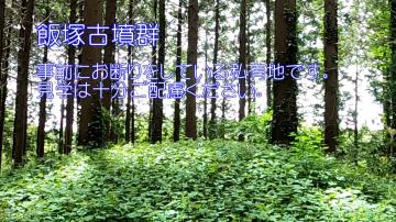 一面に草木が生い茂る飯塚古墳群の写真：事前にお断りをしている私有地です。見学は十分ご配慮ください。