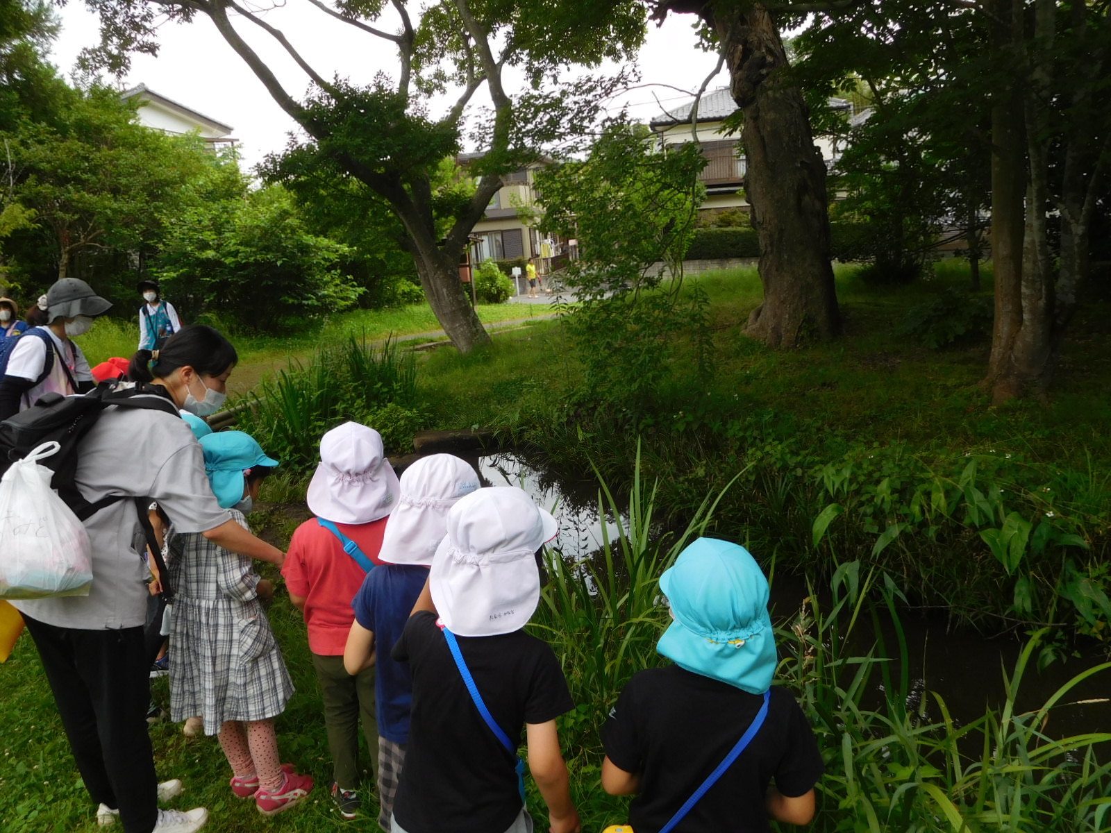 佐倉城址公園の菖蒲田で、園児や関係者が集まって水の方を見ている写真