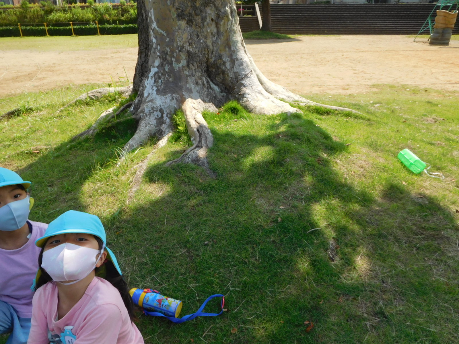 グランドの木陰に座る園児2名の写真
