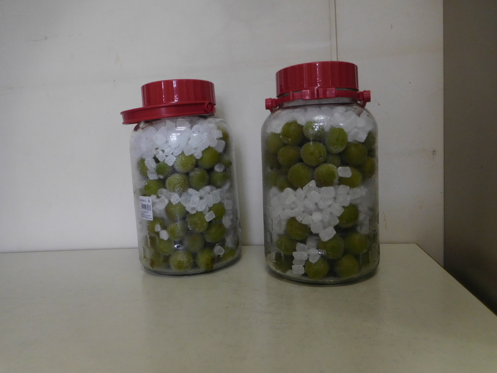 梅の実と氷砂糖が交互に詰められている2本の瓶の写真