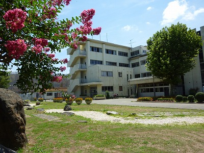 青空の下で手前に咲く赤い花と奥に見える校舎の写真