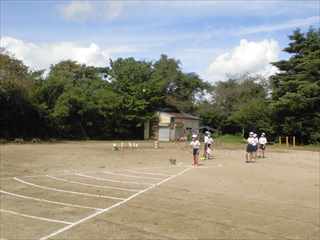 校庭にラインが描かれてそれに向かってボールを勢いよく投げている生徒たちの写真