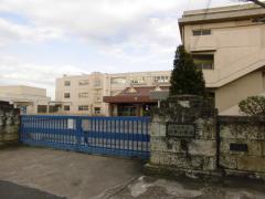 臼井小学校の青い正門の前を道路側から撮影した写真