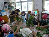 R7edamame1