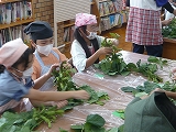 R7edamame2