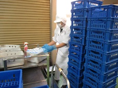 白衣の帽子とマスクをした作業員が青いゴム手袋をして食材を扱っている様子