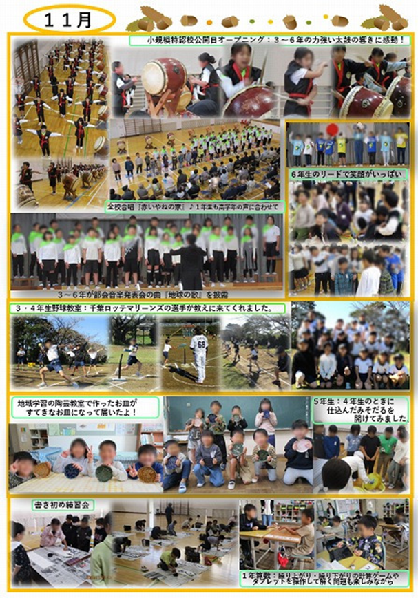 11月 活動の様子