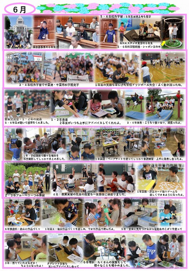 6月 活動の様子