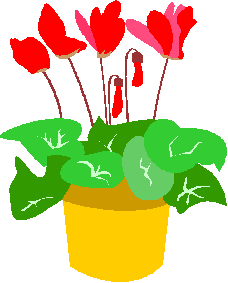鉢に入った赤い花のイラスト