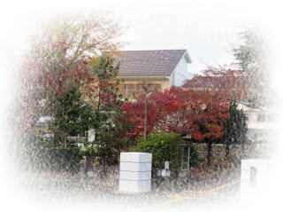 木々に囲まれている佐倉中学校校舎の写真