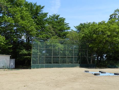 広葉樹の緑に囲まれるグラウンド野球場の写真