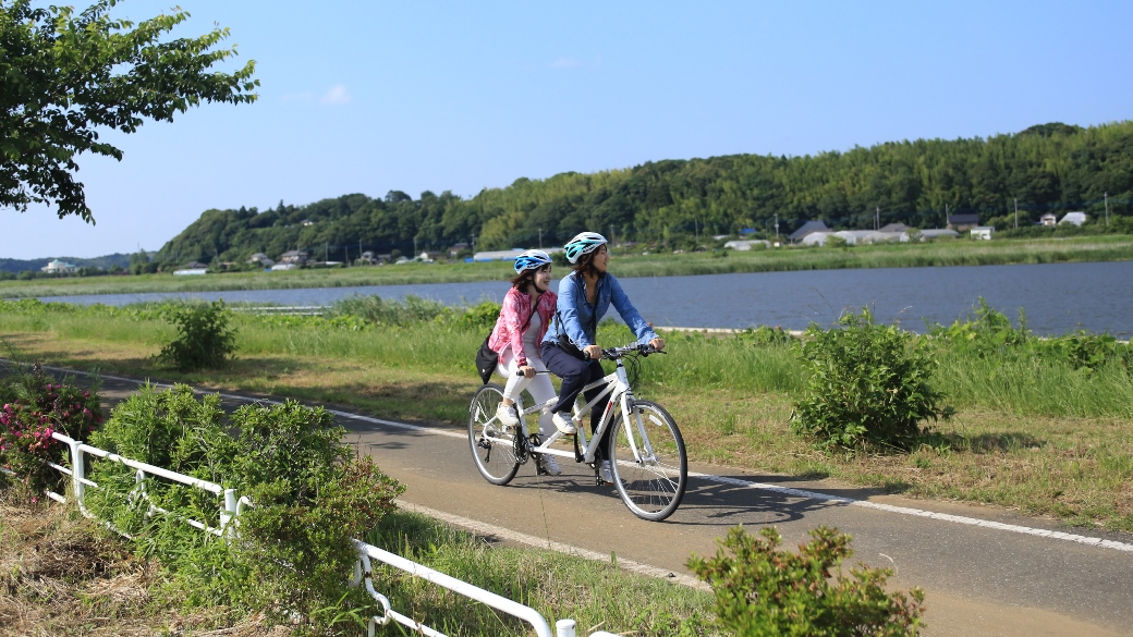 印旛沼サイクリングロード