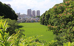 ユーカリが丘と田園