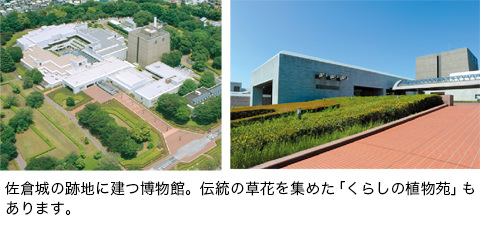 佐倉城の跡地に建つ博物館。伝統の草花を集めた「くらしの植物苑」もあります。
