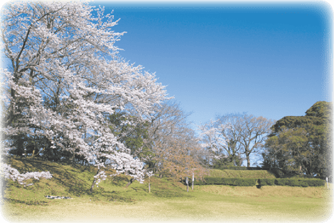 佐倉城址公園