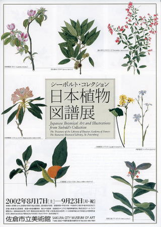 シーボルト・コレクション 日本植物図譜展