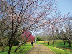 佐倉城址公園