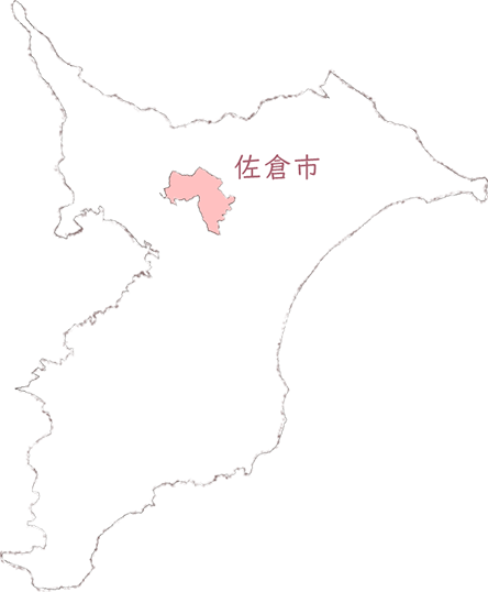 千葉県の地図。佐倉市は千葉県の北部に位置する市である。佐倉市がピンクで塗りつぶされている。