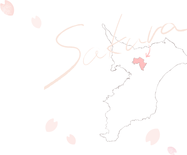 Sakura 千葉県の地図。佐倉市は千葉県の北部に位置する市である。佐倉市がピンクで塗りつぶされている。